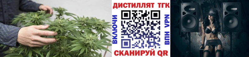 Купить где  Сычёвка  Дистиллят ТГК THC oil 