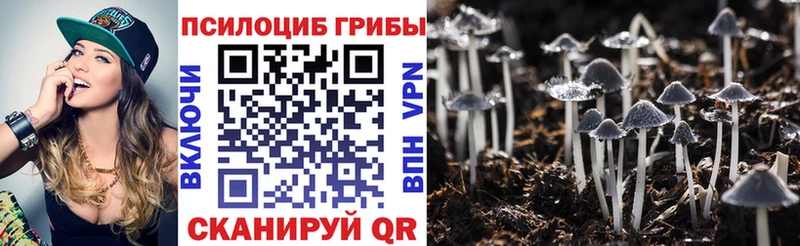 Галлюциногенные грибы прущие грибы  Купить где  Сычёвка 